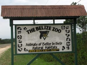 Belize Zoo