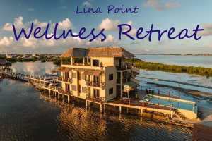 Lina Point Wellness Retreat