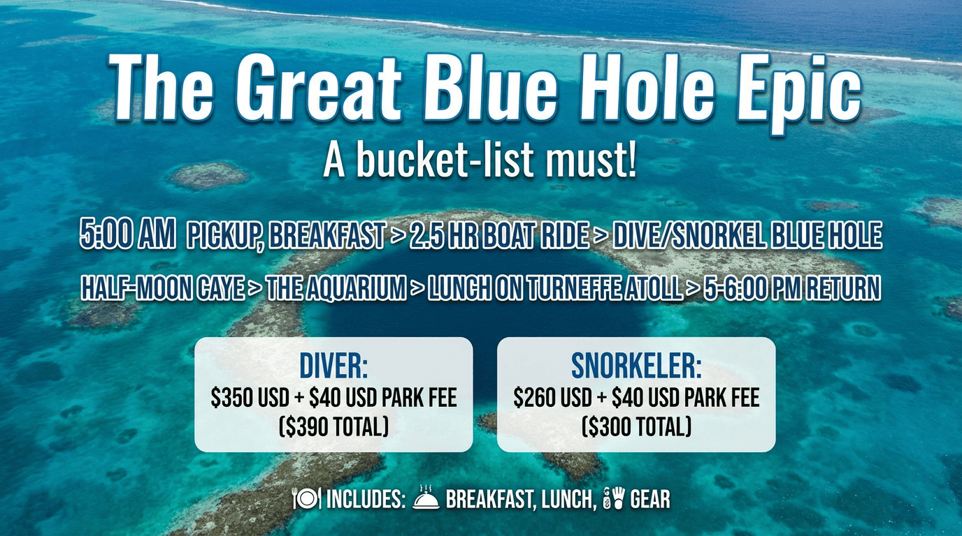 The Great Blue Hole — Epic Full-Day Dive