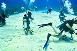 From Caye Caulker: Marine Reserve Snorkeling