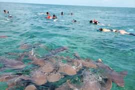 Caye Caulker: 7-Stop Snorkeling in the Belize Barrier Reef