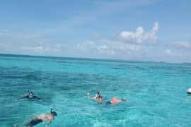 Caye Caulker: Local Reef Half-Day 3-Stop Snorkeling