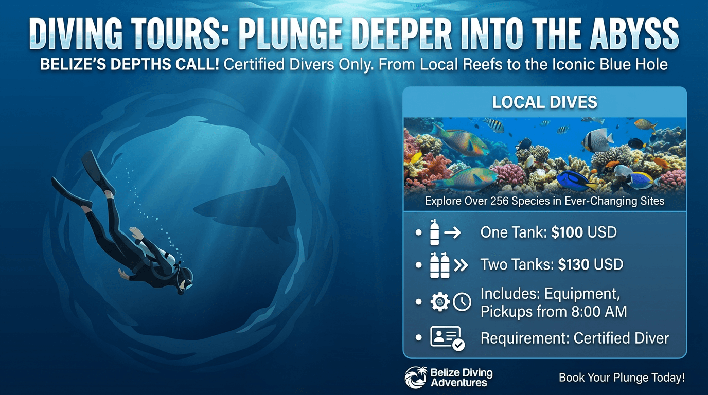 Local Reef Diving — One or Two Tanks