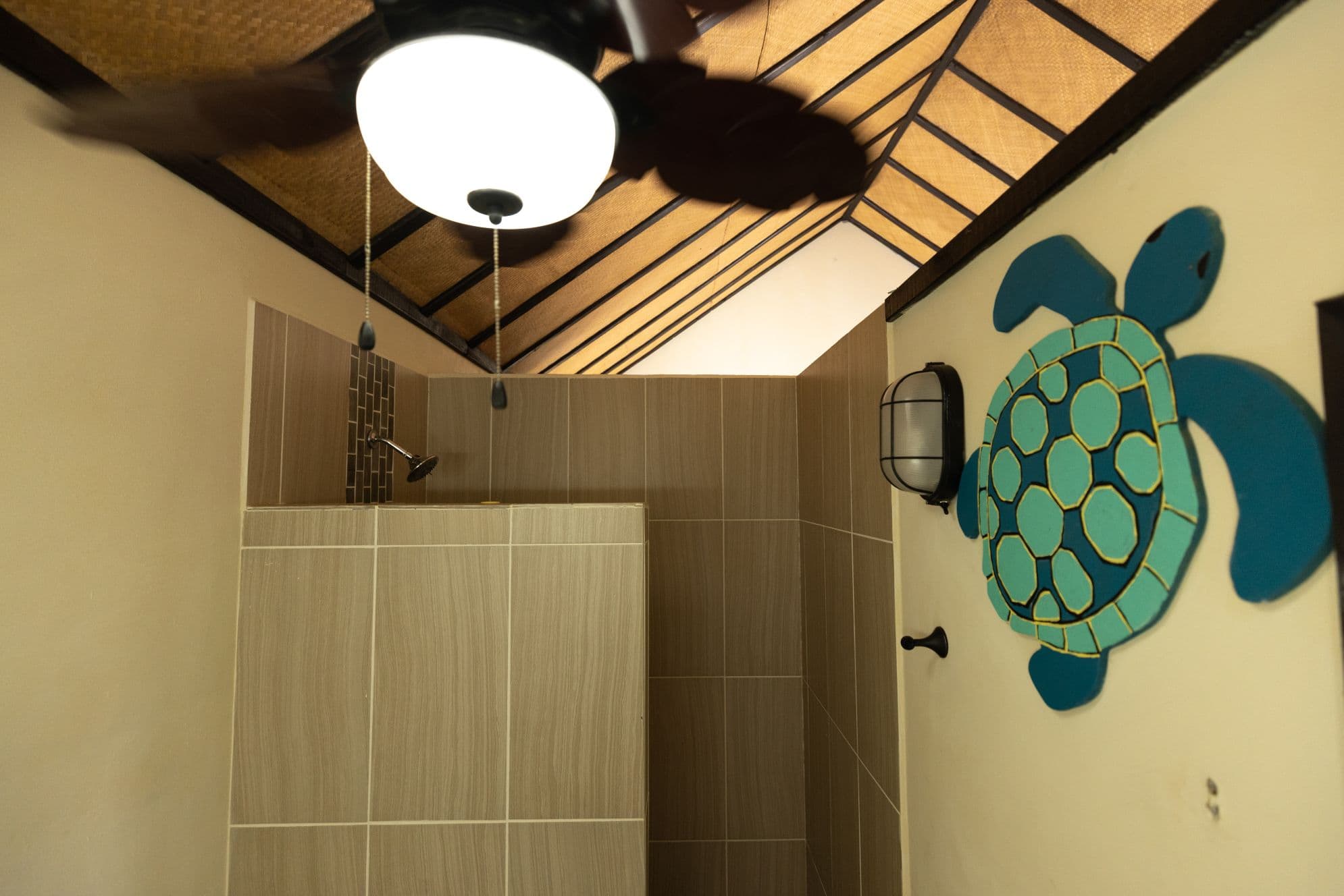 Snorkeling the barrier reef