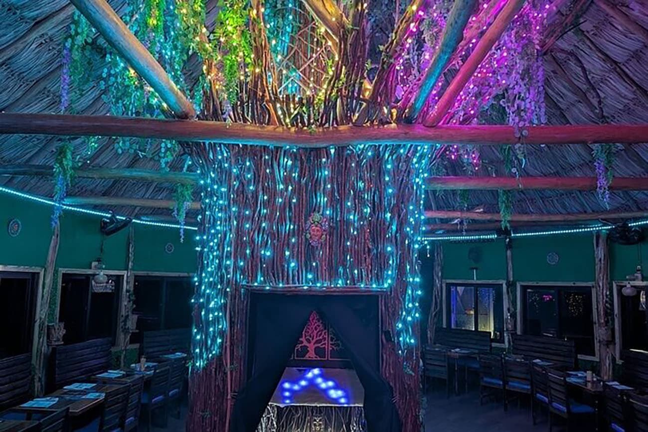 Illuminated Ceiba in The Mayan dining room at Lina Point, San Pedro