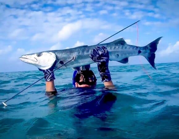 Spearfishing Ambergris Caye